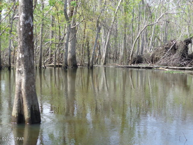 10012 Southwest Windsong Way Blountstown, FL 32424 - Photo 2 of 82