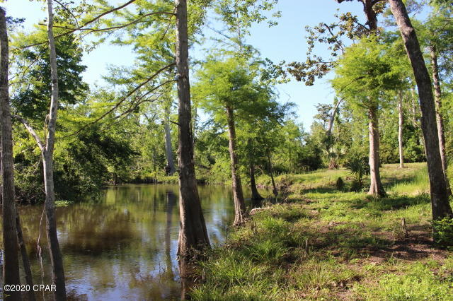 10012 Southwest Windsong Way Blountstown, FL 32424 - Photo 7 of 82