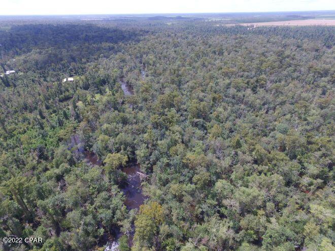 10012 Southwest Windsong Way Blountstown, FL 32424 - Photo 77 of 82