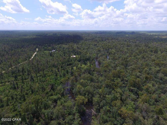 10012 Southwest Windsong Way Blountstown, FL 32424 - Photo 79 of 82