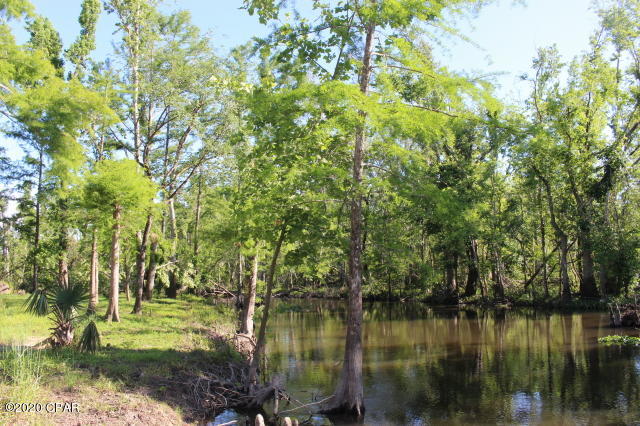 10012 Southwest Windsong Way Blountstown, FL 32424 - Photo 8 of 82