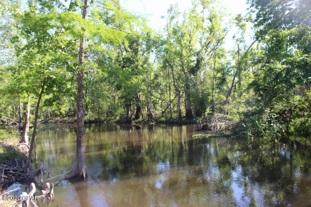 10012 Southwest Windsong Way Blountstown, FL 32424 - Photo 9 of 82