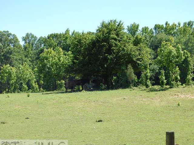 8346 West Harrell Road Oak Ridge, NC 27310 - Photo 1 of 4 Land/Lot. Middle of the Lot.
