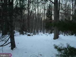 3404 Sterner Mill Road Quakertown, PA 18951 - Photo 6 of 6 Gallery Image 6