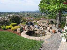 1608 Deer Run Santa Rosa, CA 95405 - Photo 7 of 9 Koi pond and view