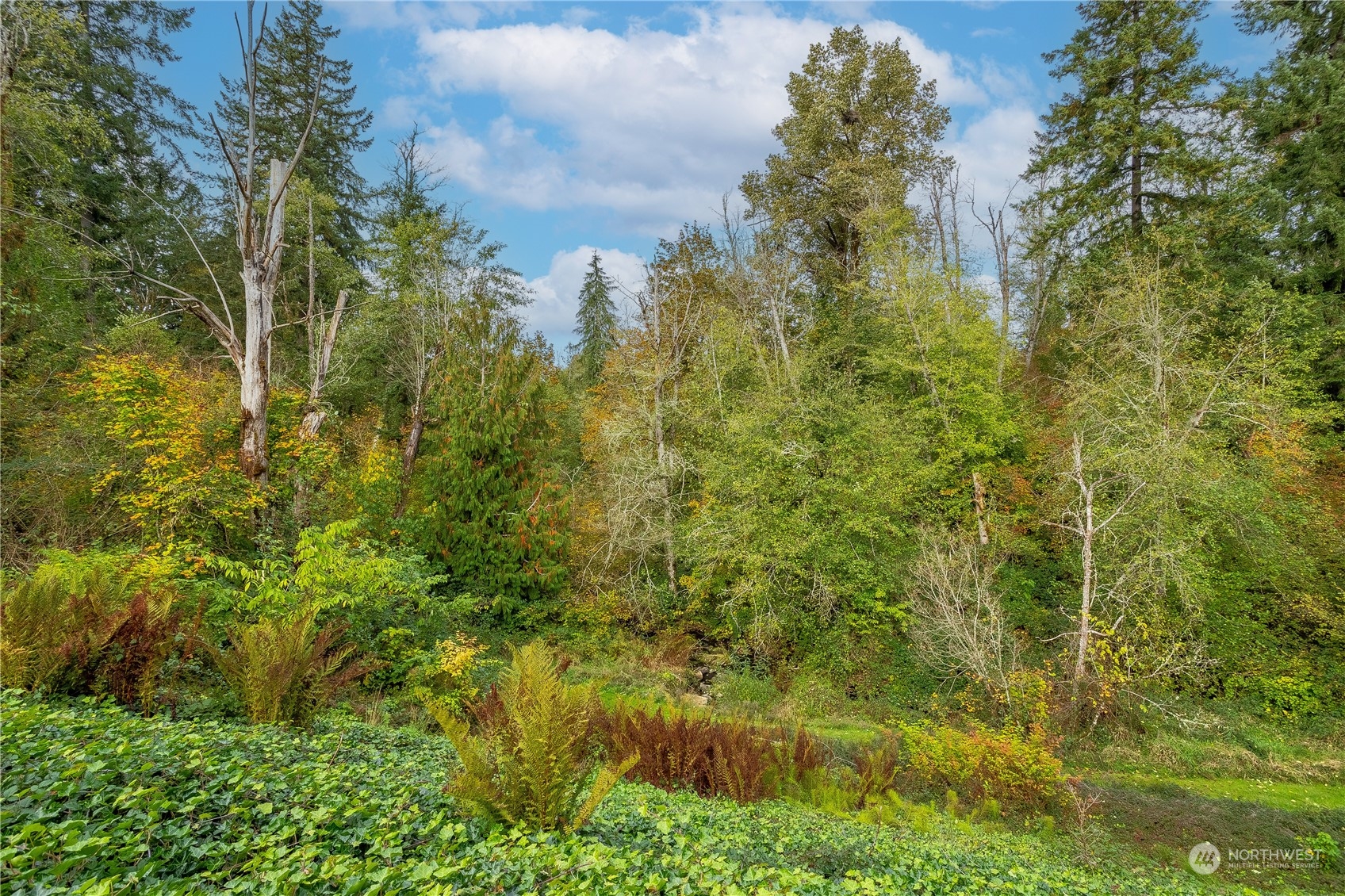 23408 Southeast 216th Way Maple Valley, WA 98038 - Photo 36 of 40 a view of a garden