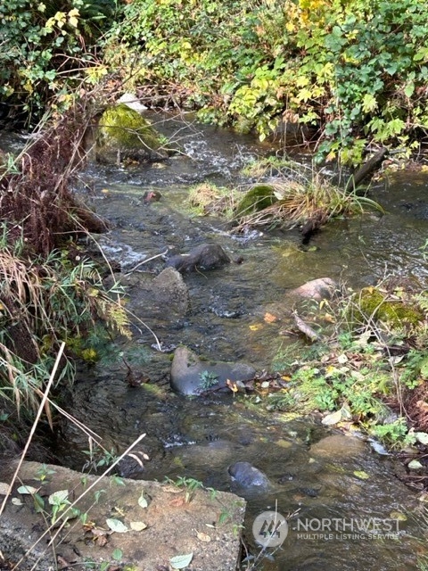 23408 Southeast 216th Way Maple Valley, WA 98038 - Photo 39 of 40 a backyard of a house