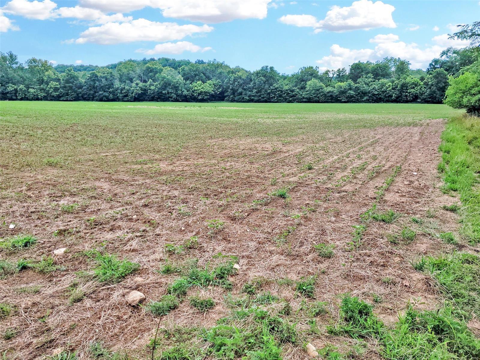 225 Valley View Hawk Point, MO 63349 - Photo 1 of 24