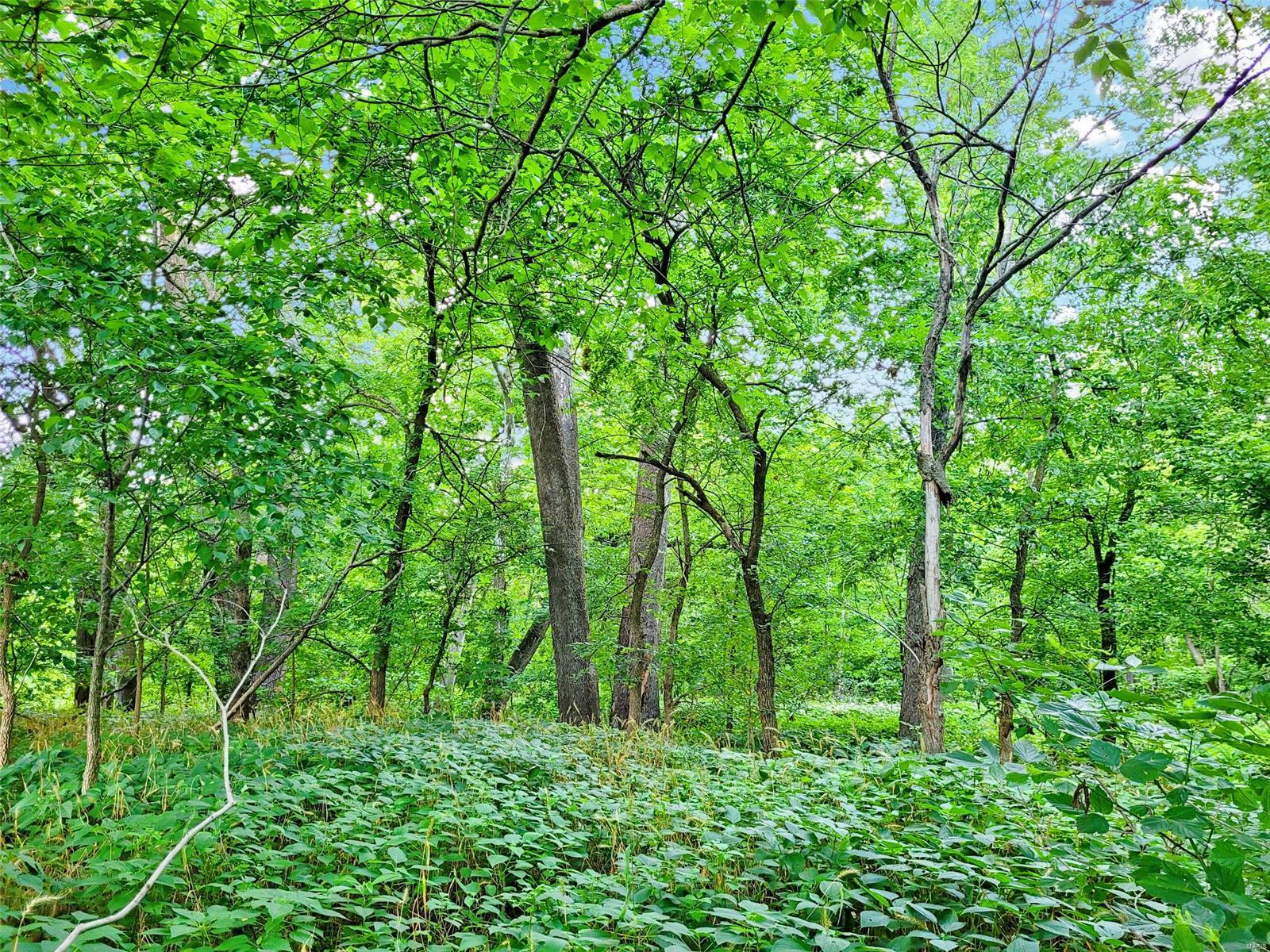 225 Valley View Hawk Point, MO 63349 - Photo 11 of 24