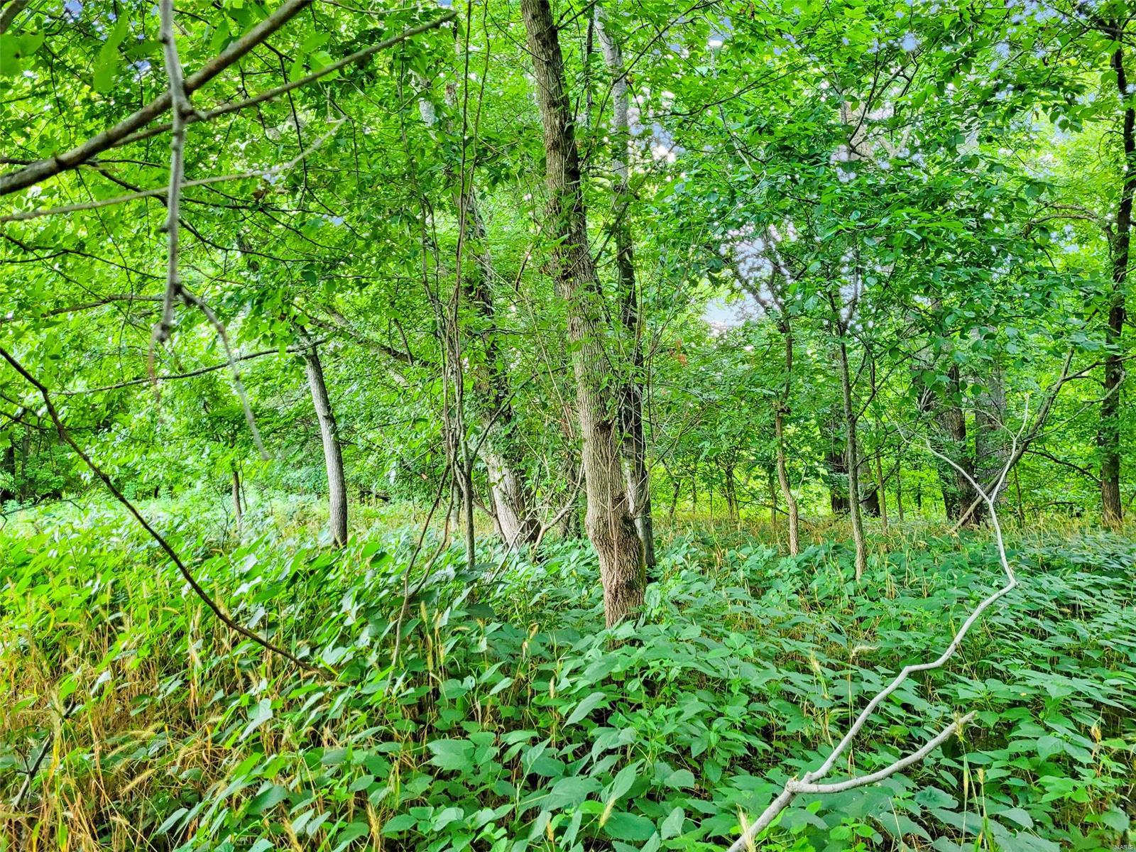 225 Valley View Hawk Point, MO 63349 - Photo 12 of 24