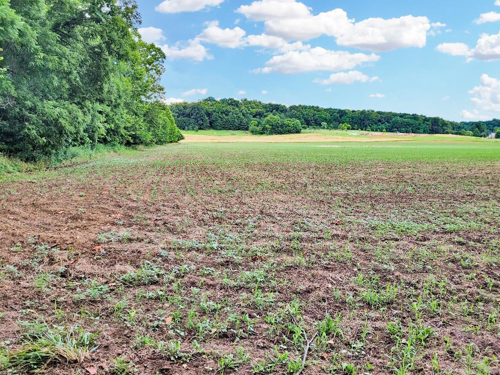 225 Valley View Hawk Point, MO 63349 - Photo 13 of 24