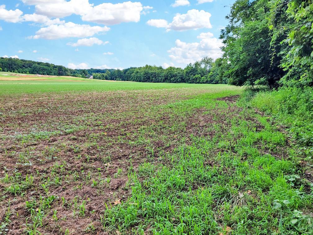 225 Valley View Hawk Point, MO 63349 - Photo 14 of 24