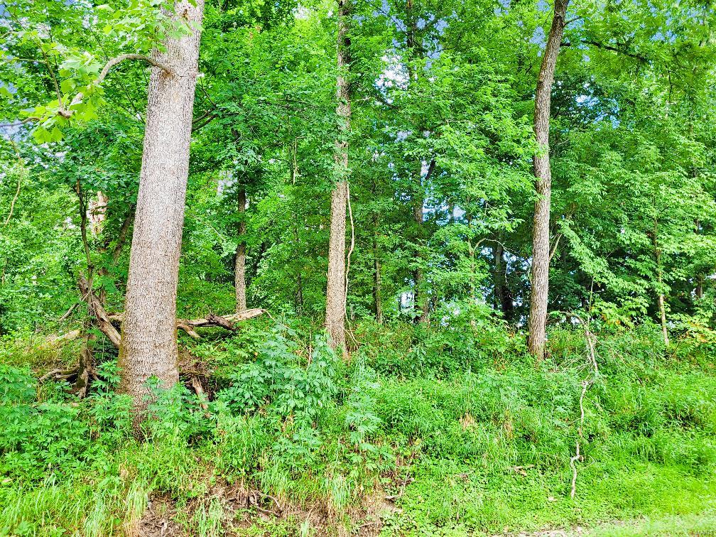 225 Valley View Hawk Point, MO 63349 - Photo 17 of 24