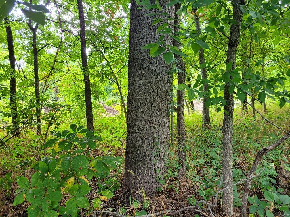 225 Valley View Hawk Point, MO 63349 - Photo 18 of 24