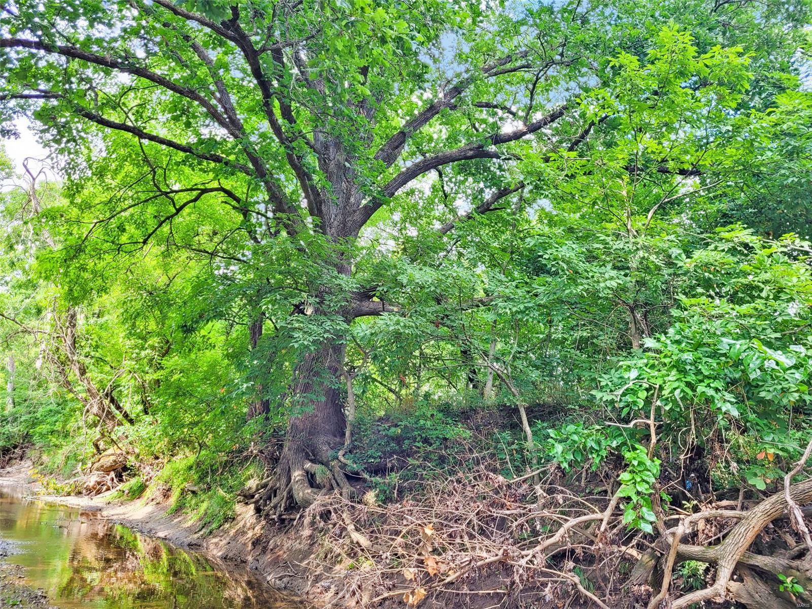 225 Valley View Hawk Point, MO 63349 - Photo 23 of 24