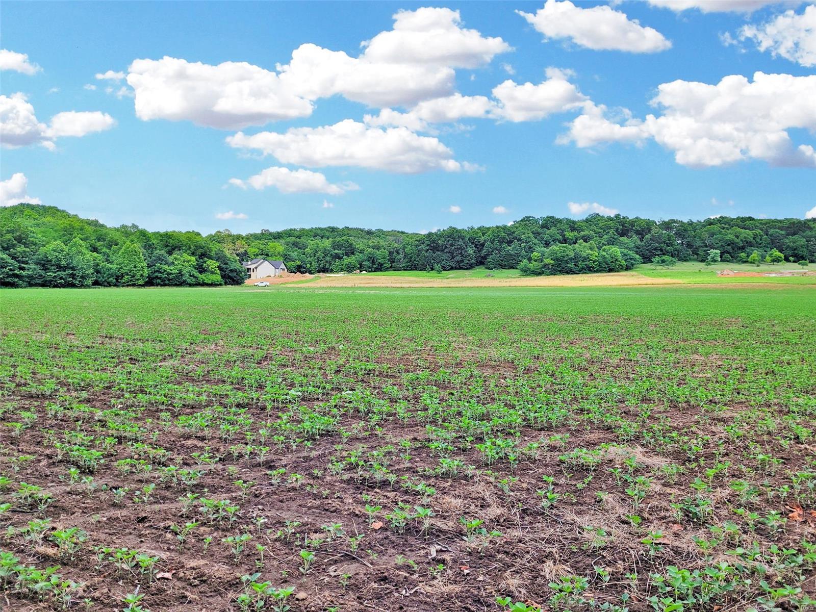 225 Valley View Hawk Point, MO 63349 - Photo 3 of 24