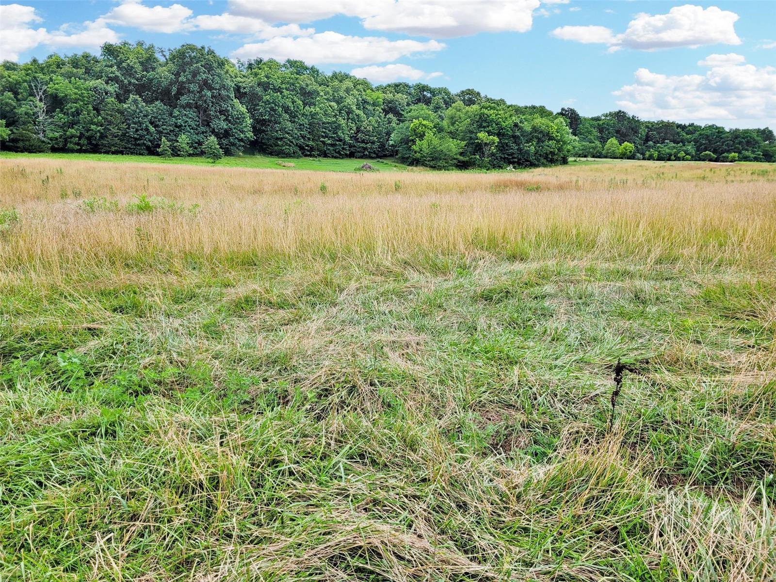 225 Valley View Hawk Point, MO 63349 - Photo 4 of 24