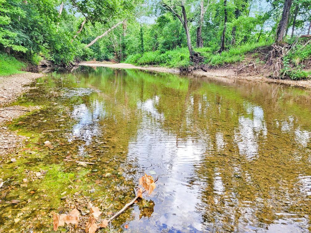 225 Valley View Hawk Point, MO 63349 - Photo 7 of 24