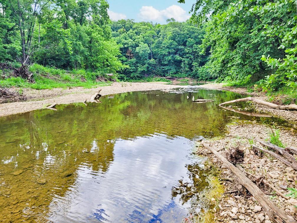 225 Valley View Hawk Point, MO 63349 - Photo 9 of 24