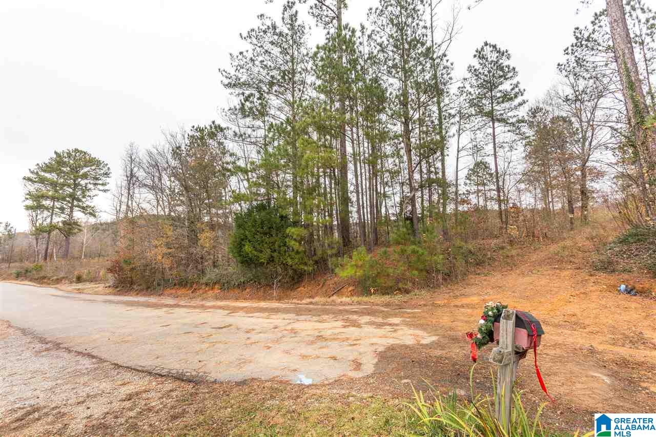 511 Tally Ho Road Anniston, AL 36207 - Photo 5 of 11