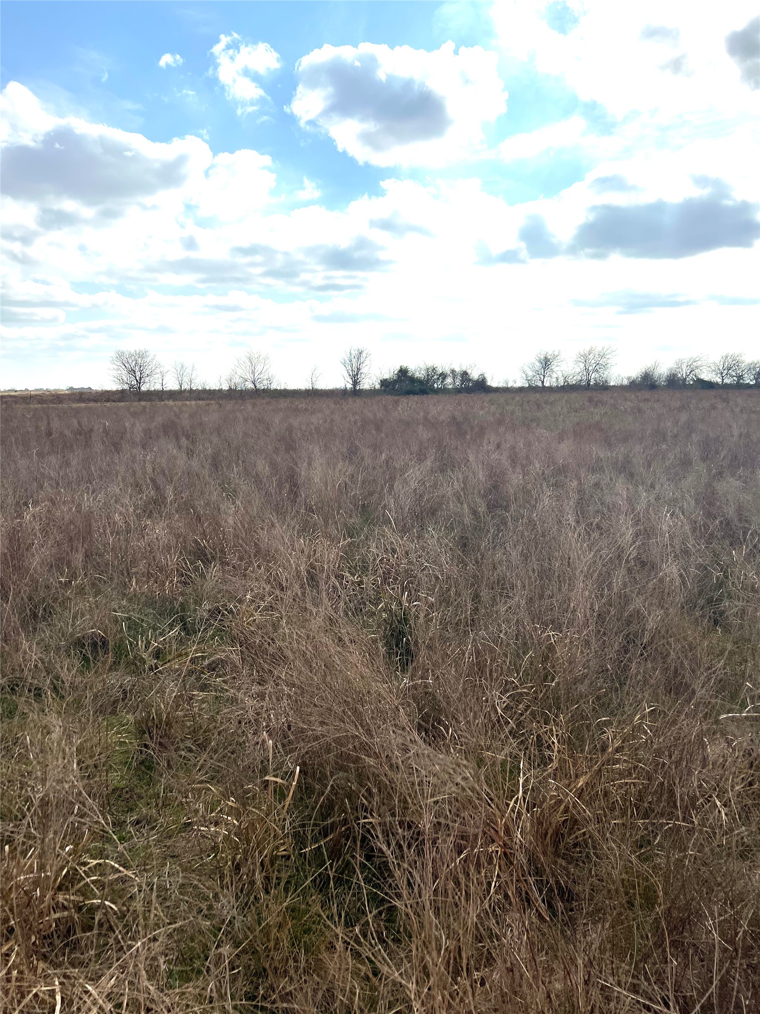 Tbd Lot 2 Tbd Road Eagle Lake, TX 77434 - Photo 20 of 24 Expansive open field with natural grasses and distant tree line under a partly cloudy sky