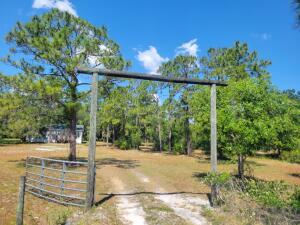 1155 Northeast 342nd Trail Okeechobee, FL 34972 - Photo 1 of 7 a view of a backyard