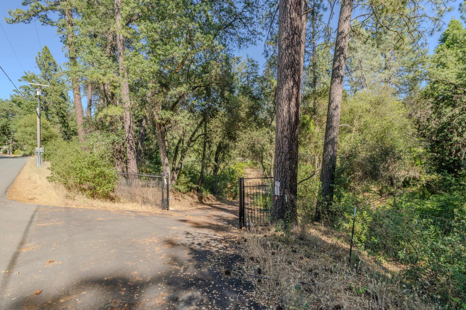 6240 Michel Road Mountain Ranch, CA 95246 - Photo 71 of 92