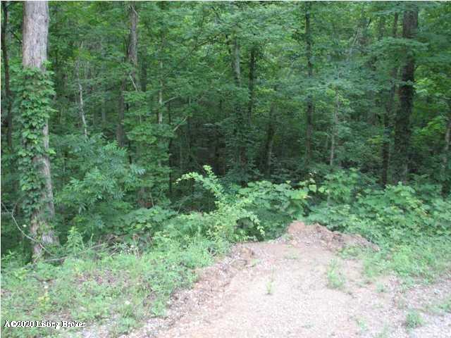 Lot 13-14 Cub Run, Unit 13 & 14 Cub Run, KY 42729 - Photo 17 of 25 16