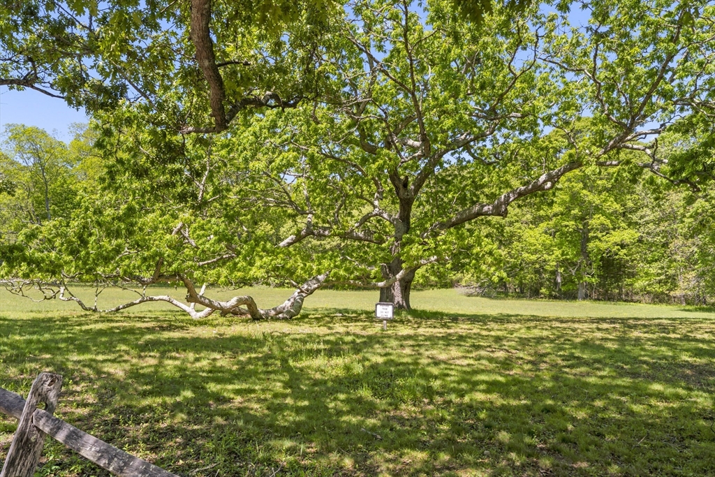 23 Onkokemmy Road West Tisbury, MA 02568 - Photo 8 of 9