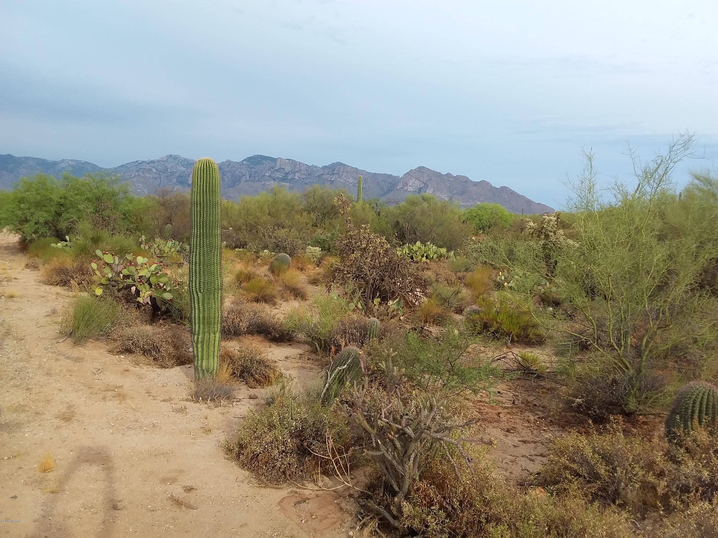 2315 West Tangerine Road Tucson, AZ 85742 - Photo 23 of 27