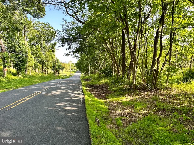 a view of yard with green space