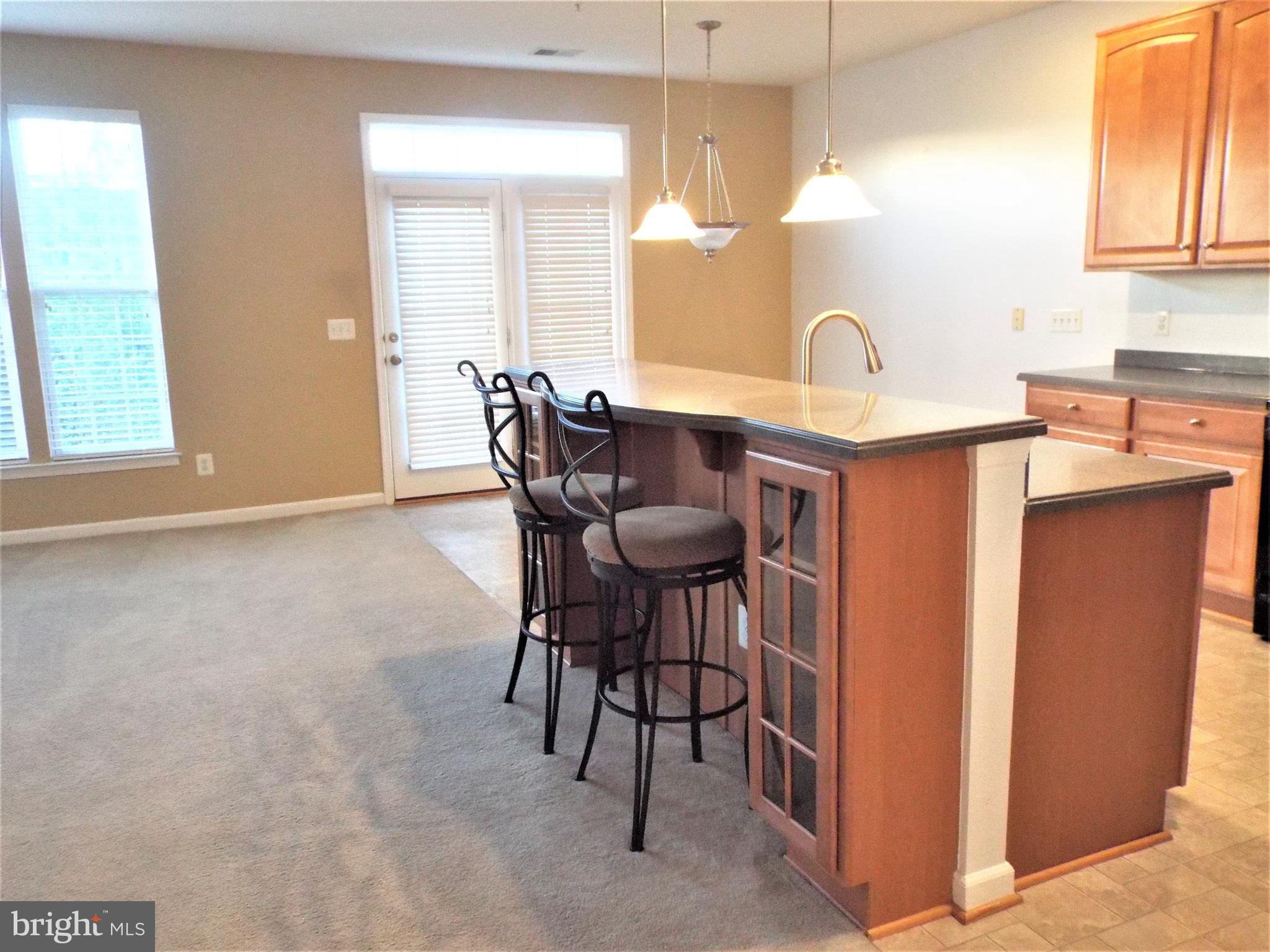 41802 Inspiration Terrace Aldie, VA 20105 - Photo 11 of 43 Kitchen