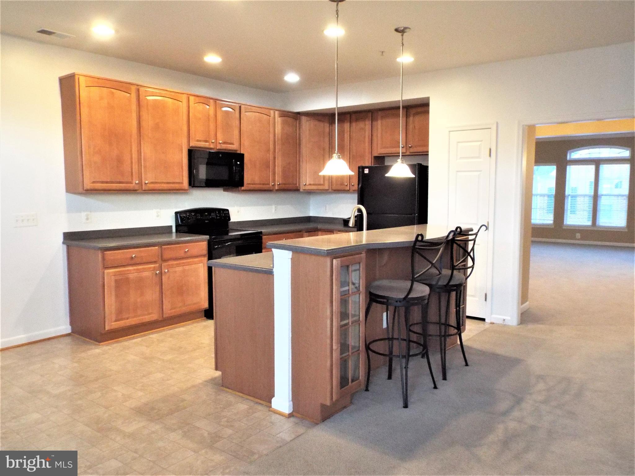 41802 Inspiration Terrace Aldie, VA 20105 - Photo 14 of 43 Kitchen