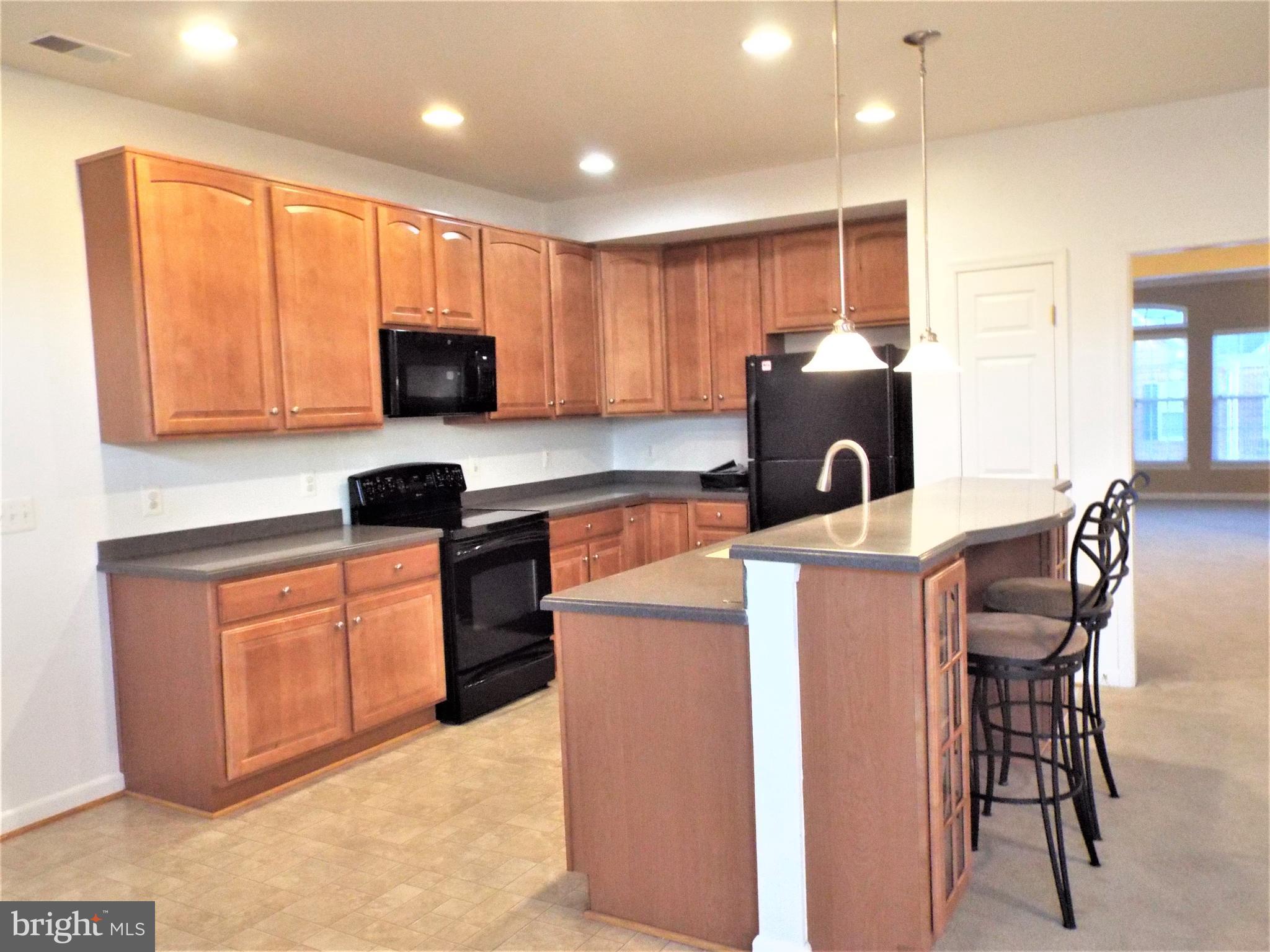 41802 Inspiration Terrace Aldie, VA 20105 - Photo 16 of 43 Kitchen