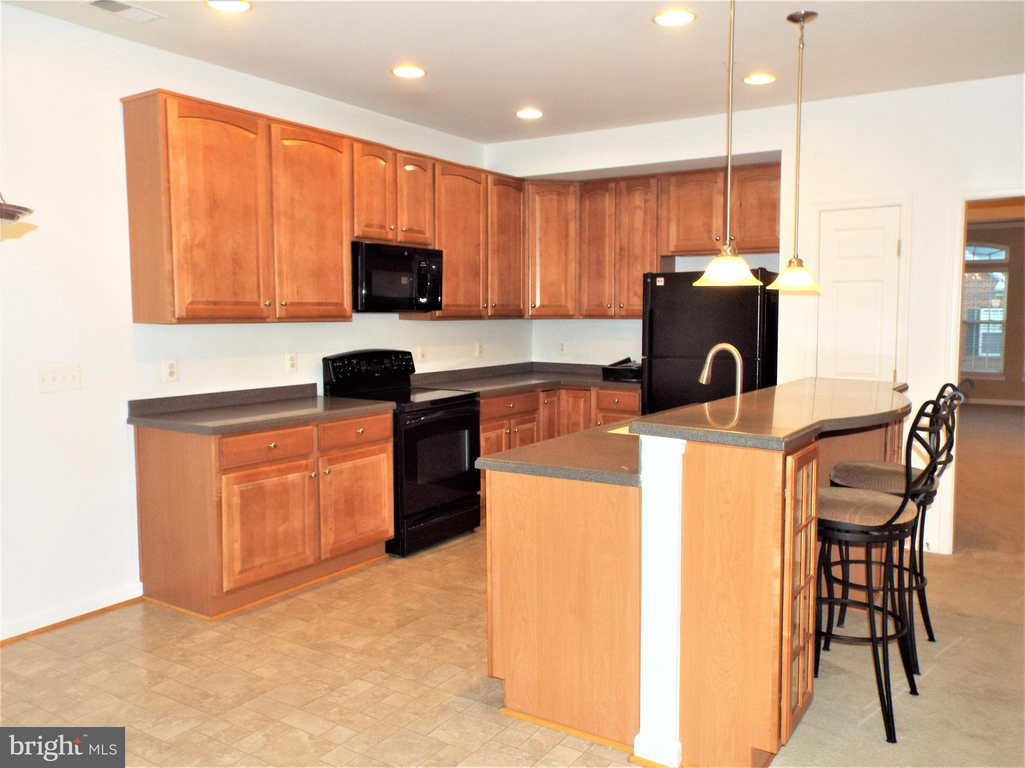 41802 Inspiration Terrace Aldie, VA 20105 - Photo 17 of 43 Kitchen