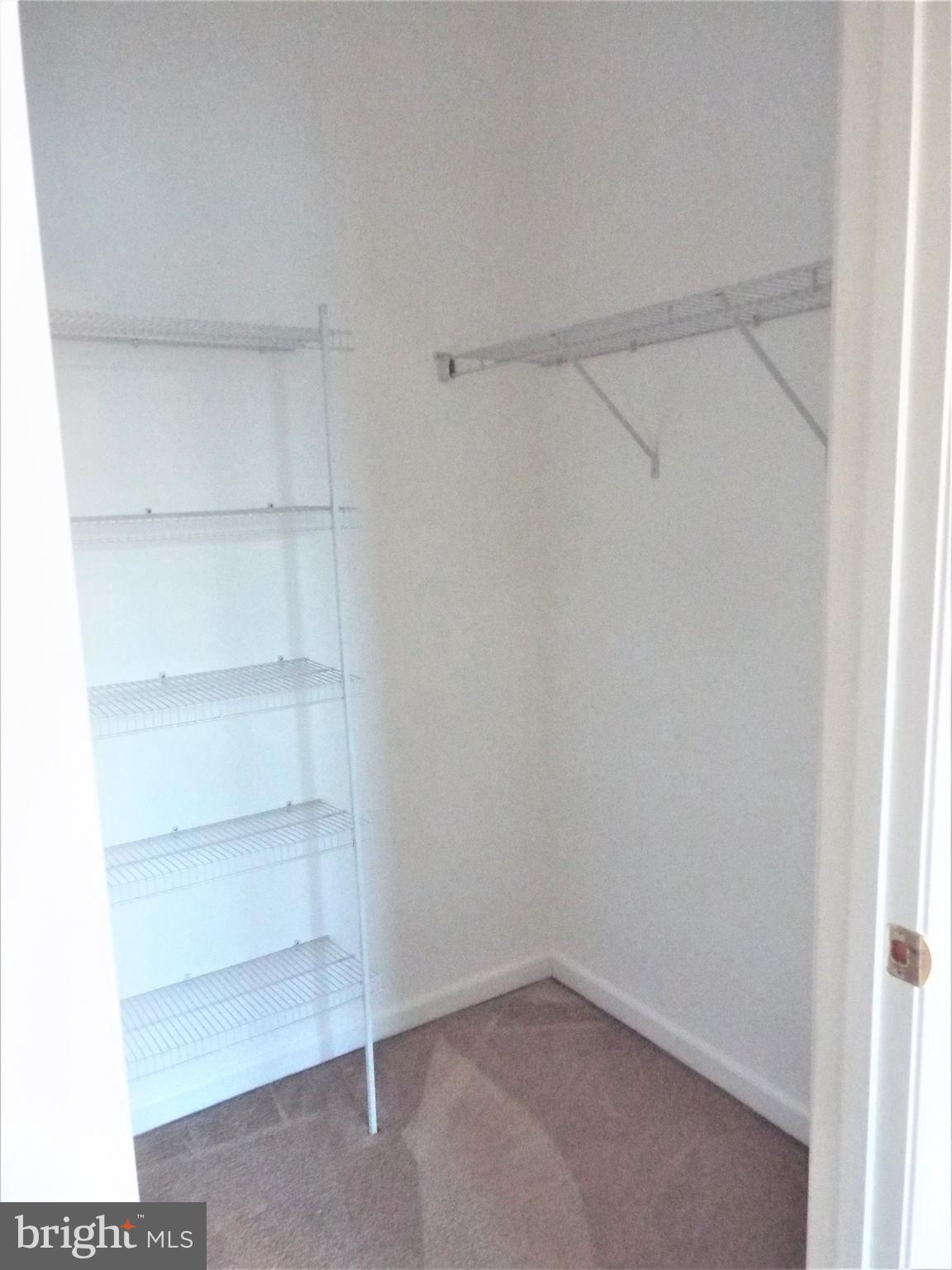 41802 Inspiration Terrace Aldie, VA 20105 - Photo 29 of 43 Walking Closet