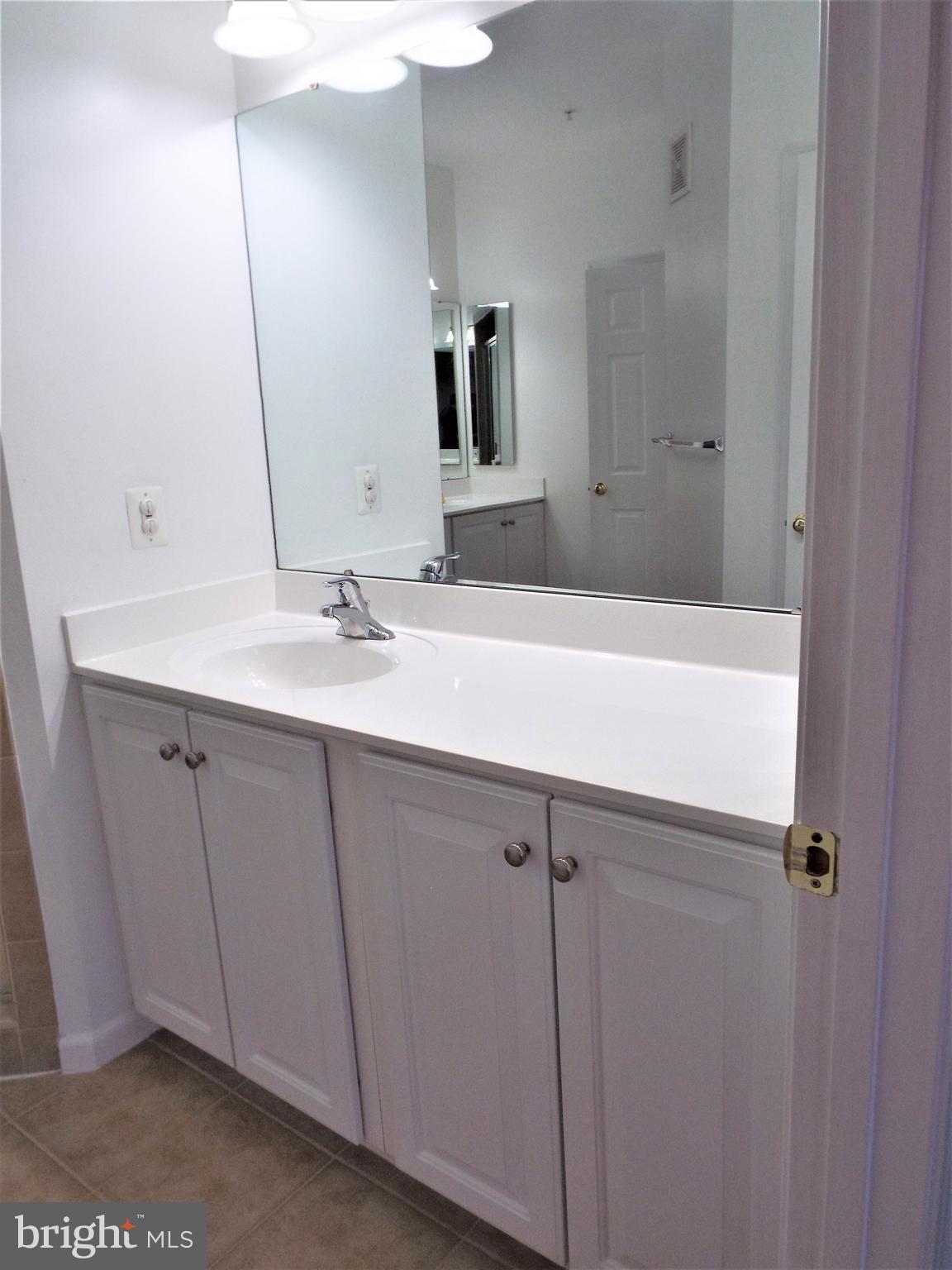 41802 Inspiration Terrace Aldie, VA 20105 - Photo 30 of 43 Master Bath