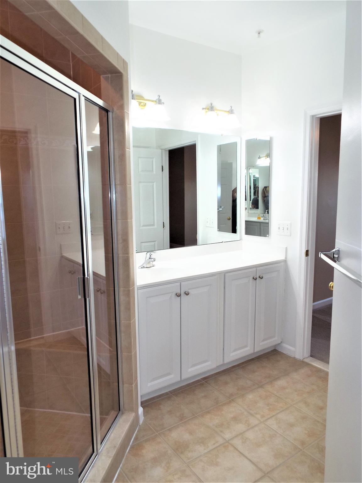 41802 Inspiration Terrace Aldie, VA 20105 - Photo 35 of 43 Master Bath