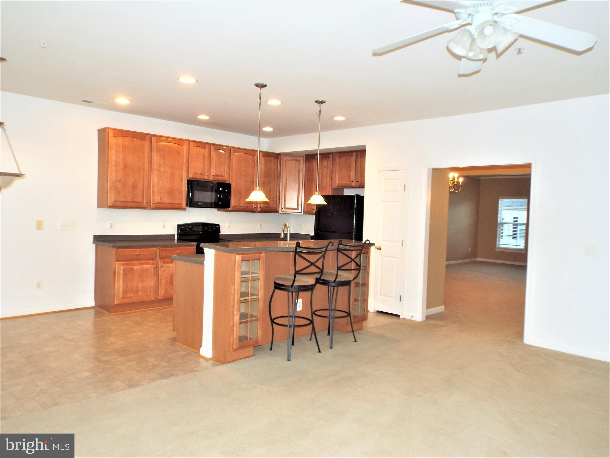 41802 Inspiration Terrace Aldie, VA 20105 - Photo 8 of 43 kitchen