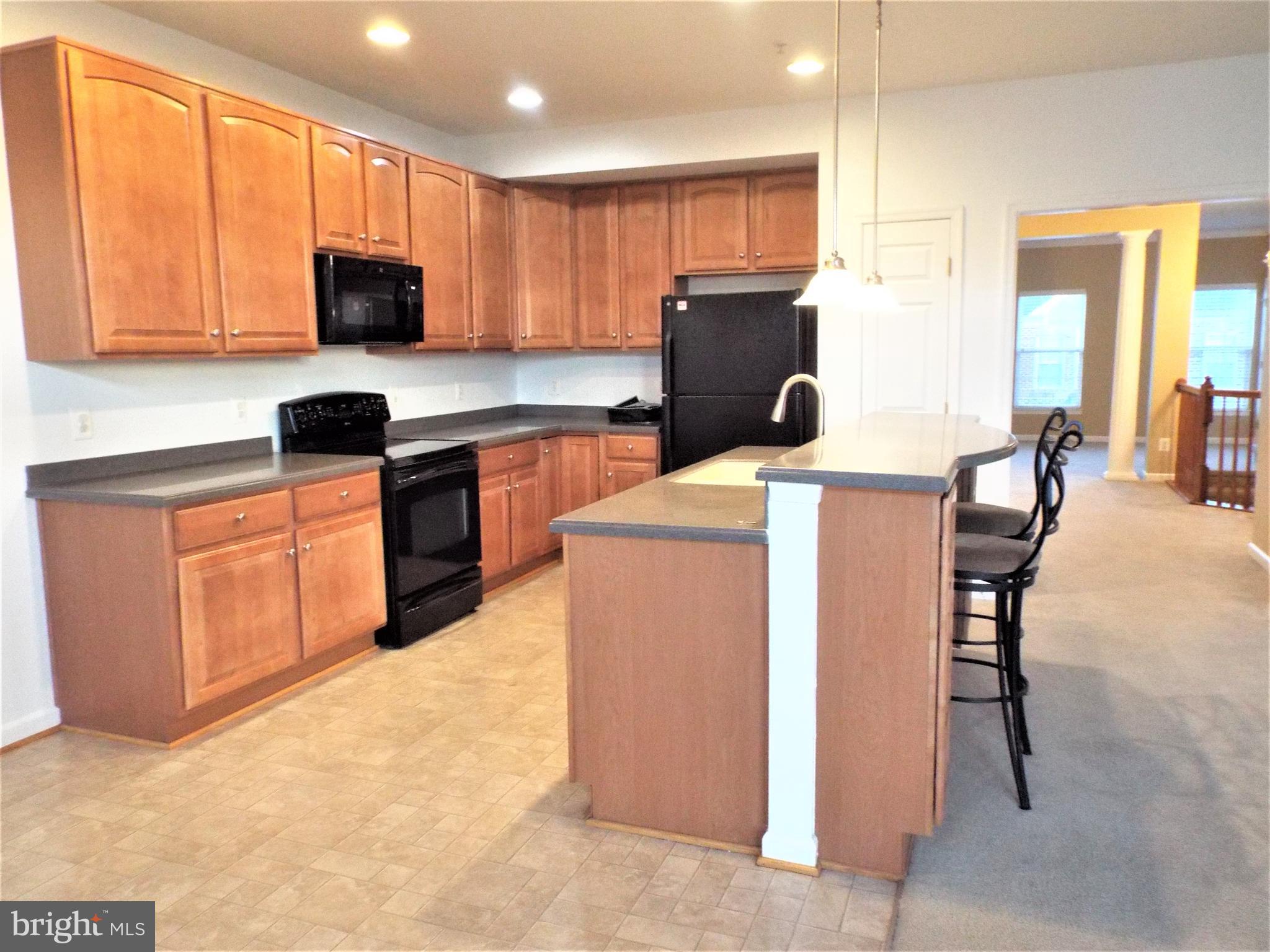 41802 Inspiration Terrace Aldie, VA 20105 - Photo 10 of 43 Kitchen