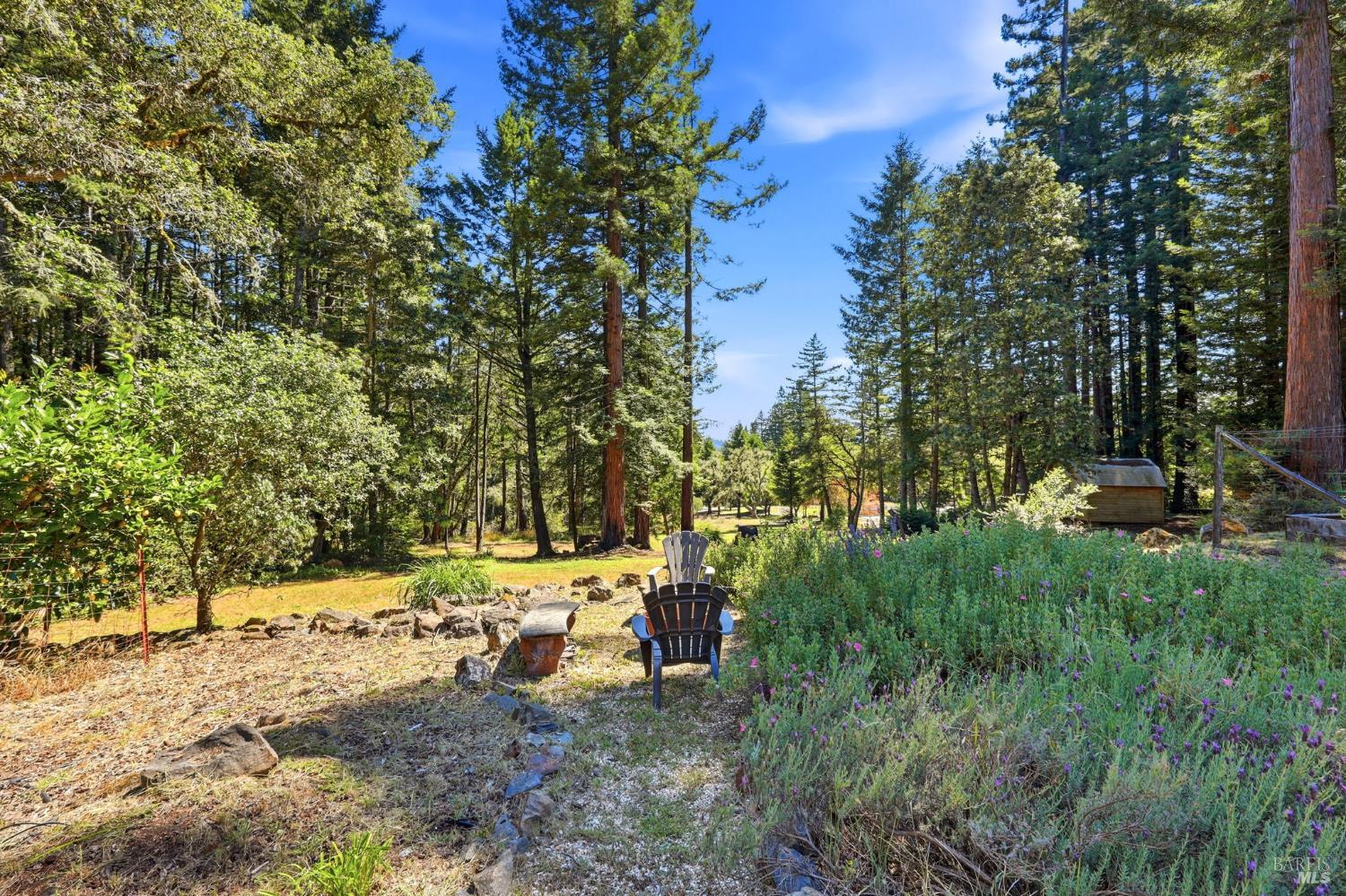 17375 Willow Creek Road Occidental, CA 95465 - Photo 61 of 94