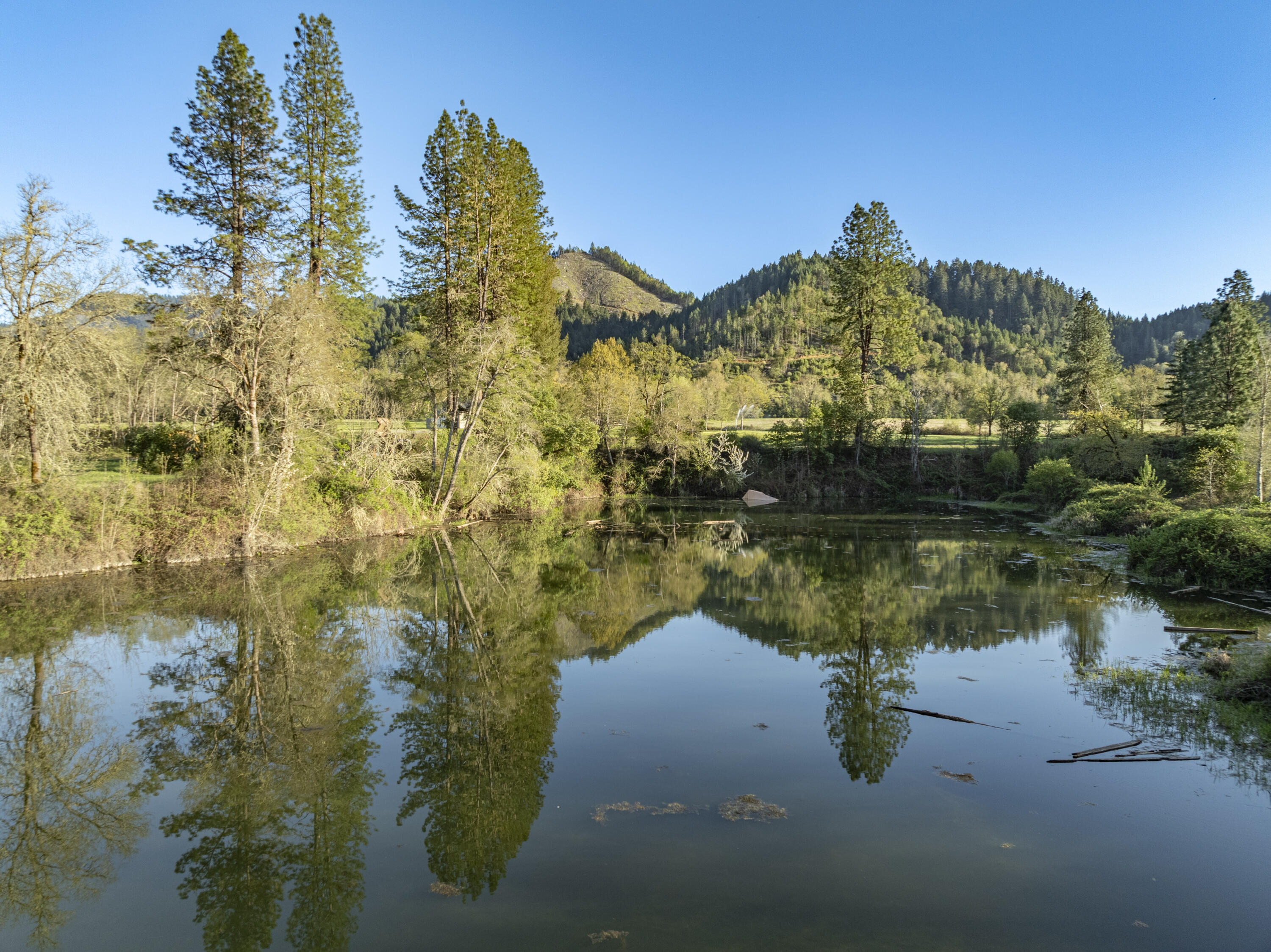 1775 Leland Road Wolf Creek, OR 97497 - Photo 43 of 49 Leland43