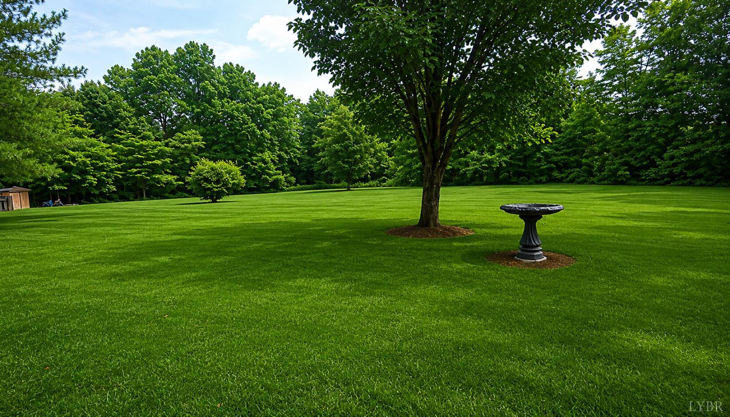 2346 Mitchell Mill Road Gladys, VA 24554 - Photo 35 of 38 a view of a park