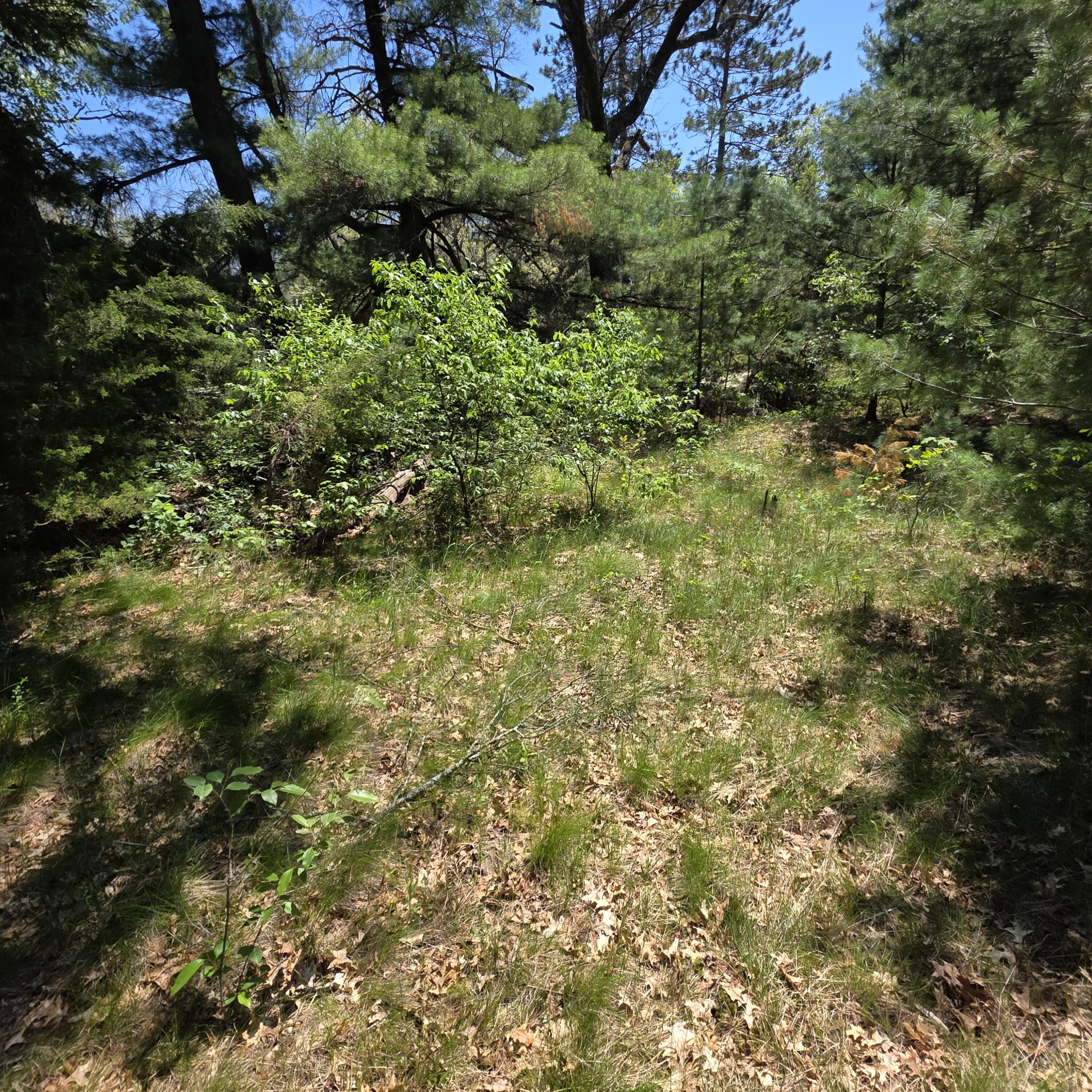 Wilma's Way, Unit PARCEL E Baldwin, MI 49304 - Photo 8 of 13 20260528_141548