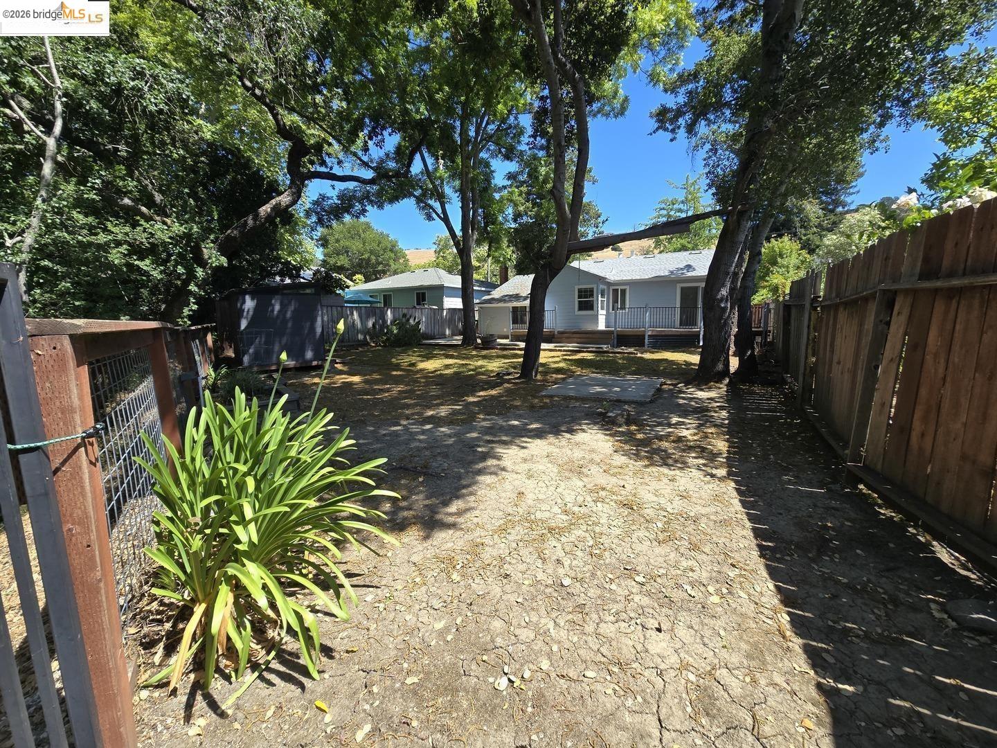 241 Humboldt Street San Rafael, CA 94901 - Photo 29 of 32 a view of a yard with plants and large trees