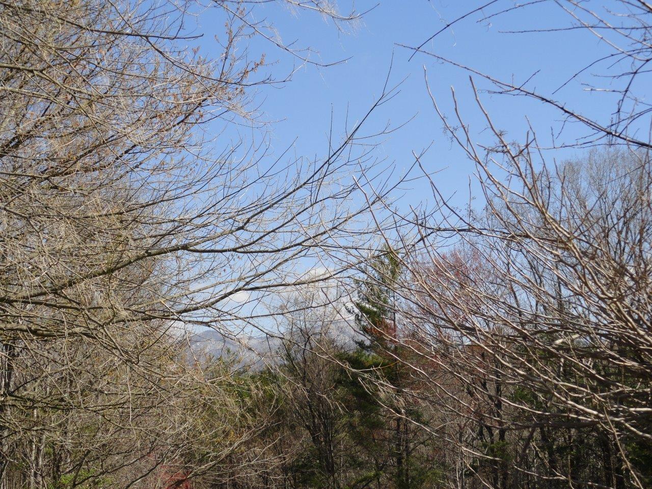 371 Custers Ridge Road Boones Mill, VA 24065 - Photo 18 of 56 18
