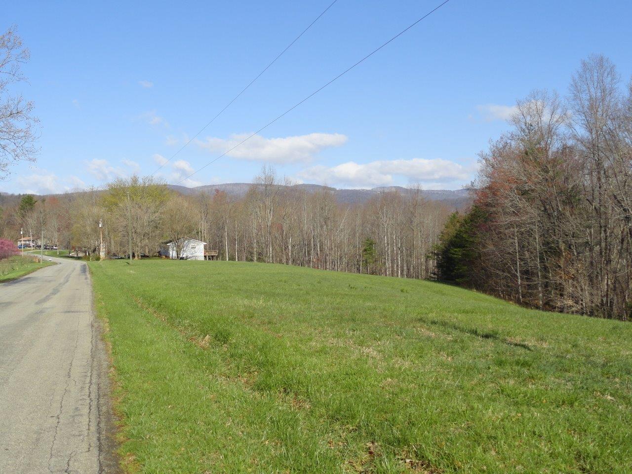 371 Custers Ridge Road Boones Mill, VA 24065 - Photo 37 of 56 38