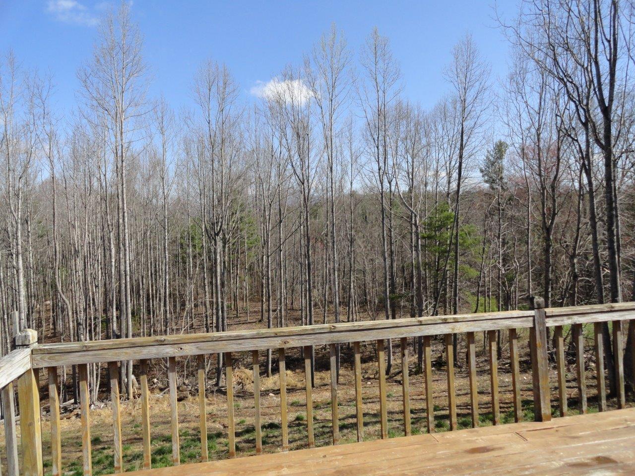 371 Custers Ridge Road Boones Mill, VA 24065 - Photo 52 of 56 53