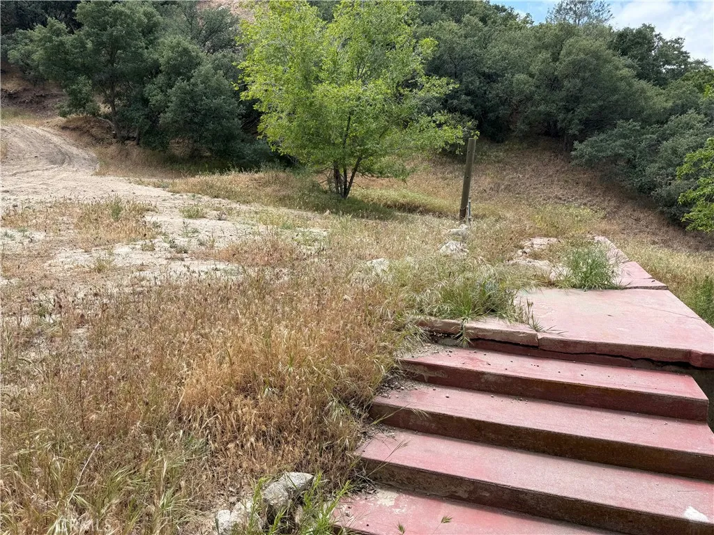 35442 Lancaster Road Lancaster, CA 93535 - Photo 20 of 26 a backyard of a house with large trees
