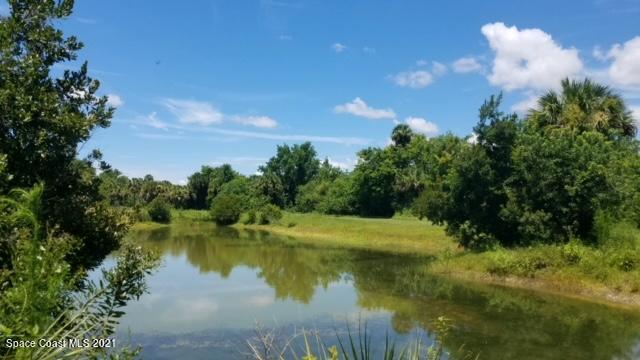 1560 County Line Road Oak Hill, FL 32759 - Photo 7 of 22 Pond